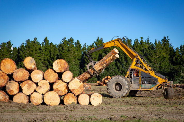 The Complete Guide to Starting a Logging Business